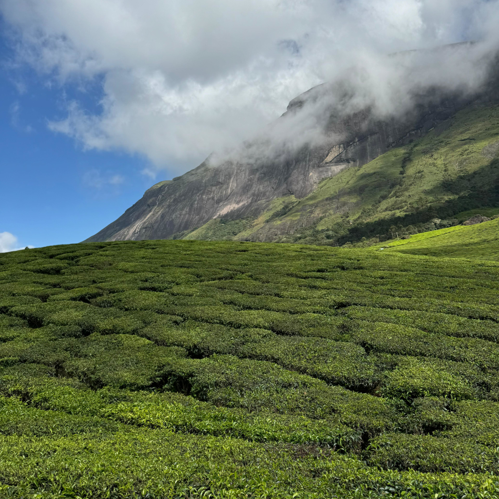 Munnar Image 1