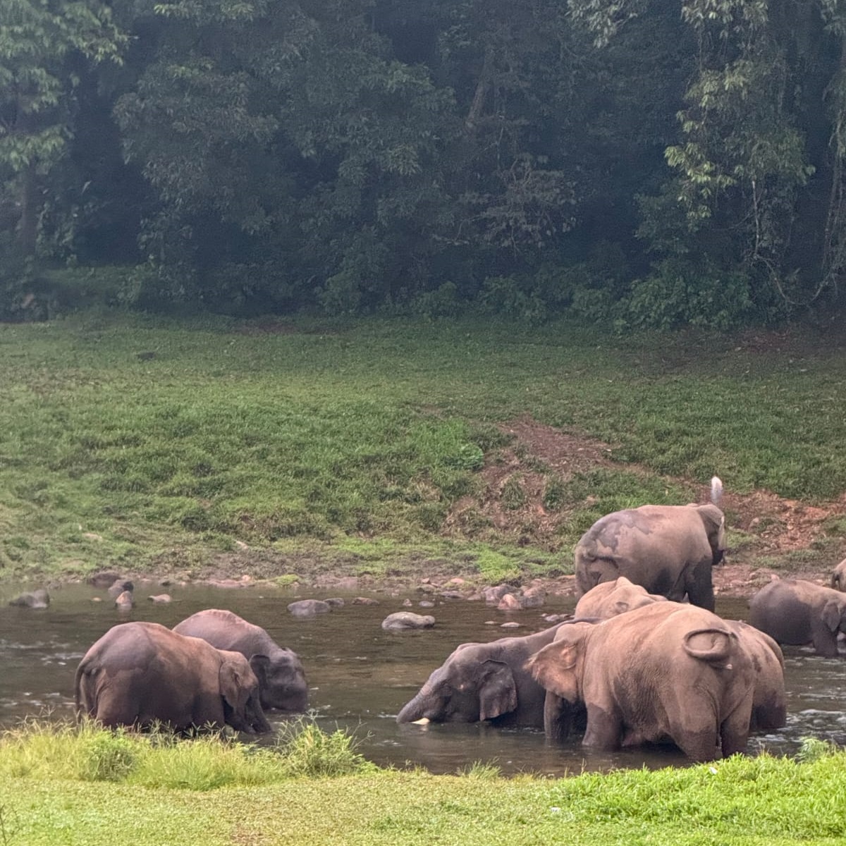 Munnar Image 4