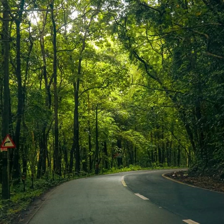 Thekkady Image 3